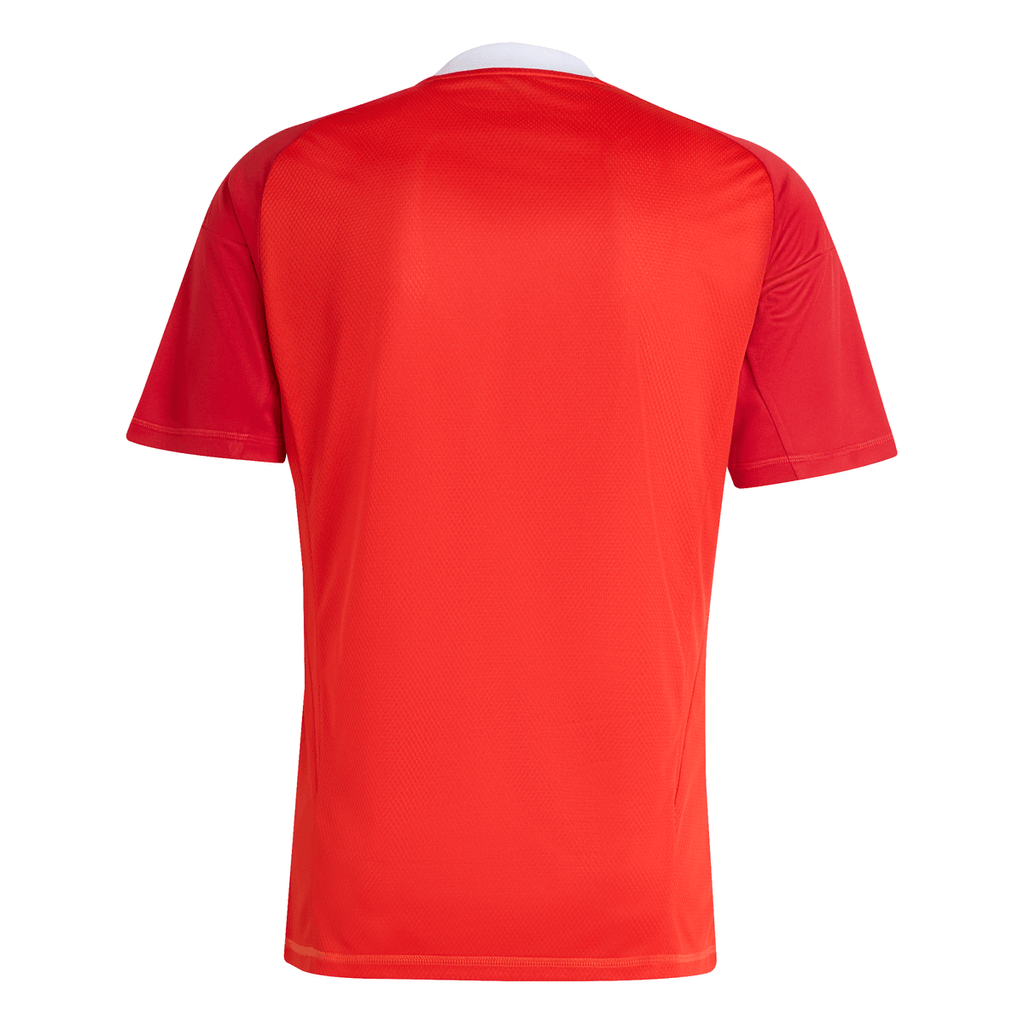 Camisa Flamengo Goleiro 3 2025