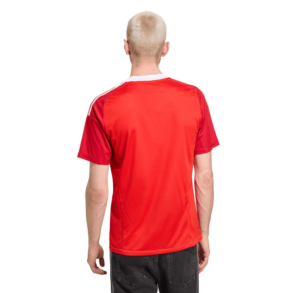Camisa Flamengo Goleiro 3 2025