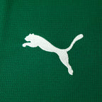 Camisa Puma Palmeiras 2026/27 I Jogador