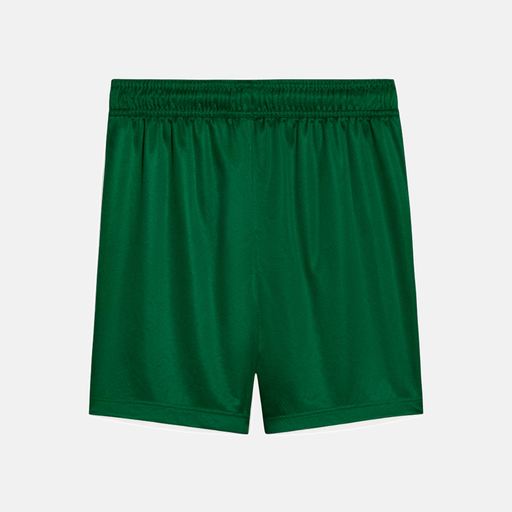 Shorts Palmeiras 2025 II – Torcedor